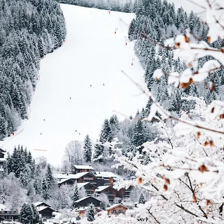 Chalet Neuf Pour 6 Pers, Animaux Et Parking